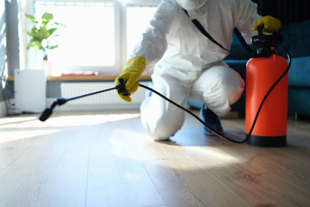 Reliable Odor Removal contractor in Nederland, CO by Trauma Clean Pros